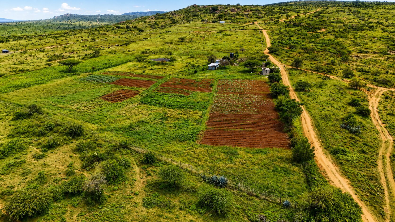 Gatepass® - Uphill (Phase 2) Lukenya 06